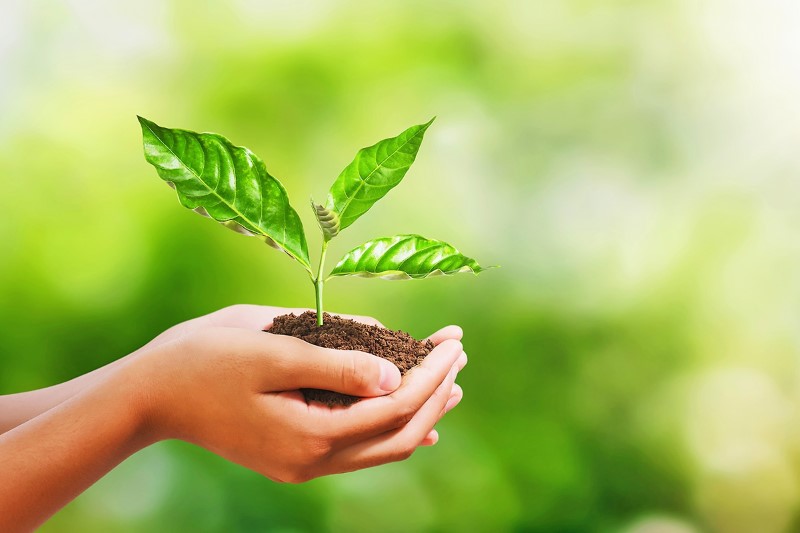 Productos promocionales ecológicos